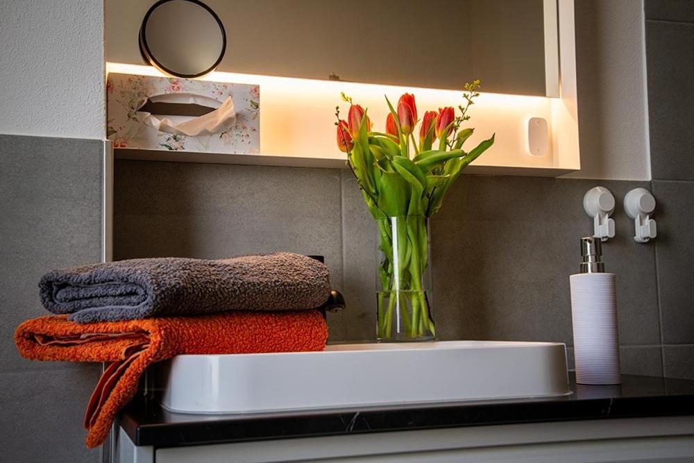 Cosel Apartment Altstadt Radfahrer Balkon Meißen 외부 사진